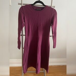 Banana Republic sweater dress size XS petite